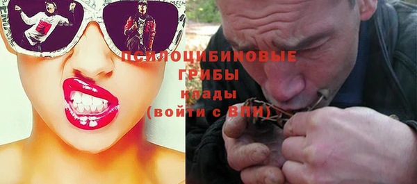 марки lsd Инта