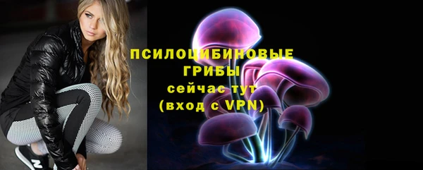 марки lsd Инта