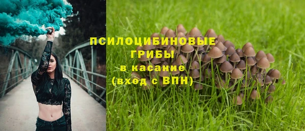 марки lsd Инта