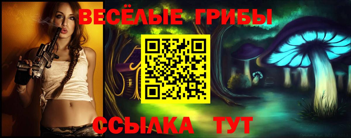 Псилоцибиновые грибы Psilocybine cubensis Кинешма