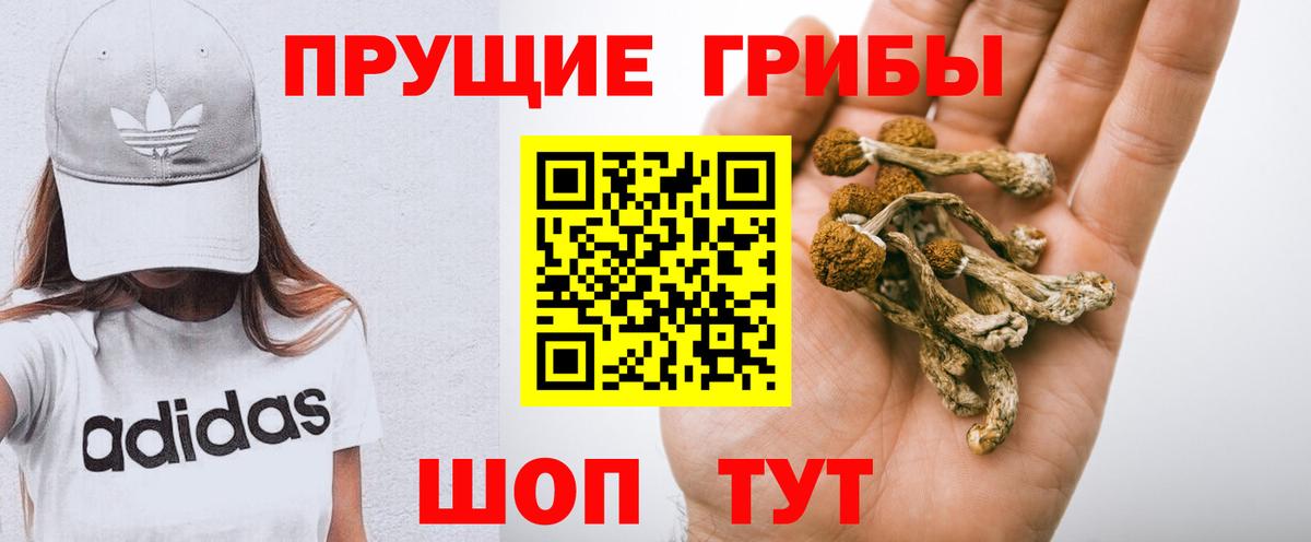Галлюциногенные грибы ЛСД  Вход с VPN  Галлюциногенные грибы Psilocybine cubensis  Кинешма 